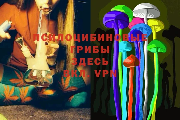 амф Абаза