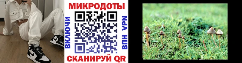 закладка  Абаза  Псилоцибиновые грибы мухоморы 